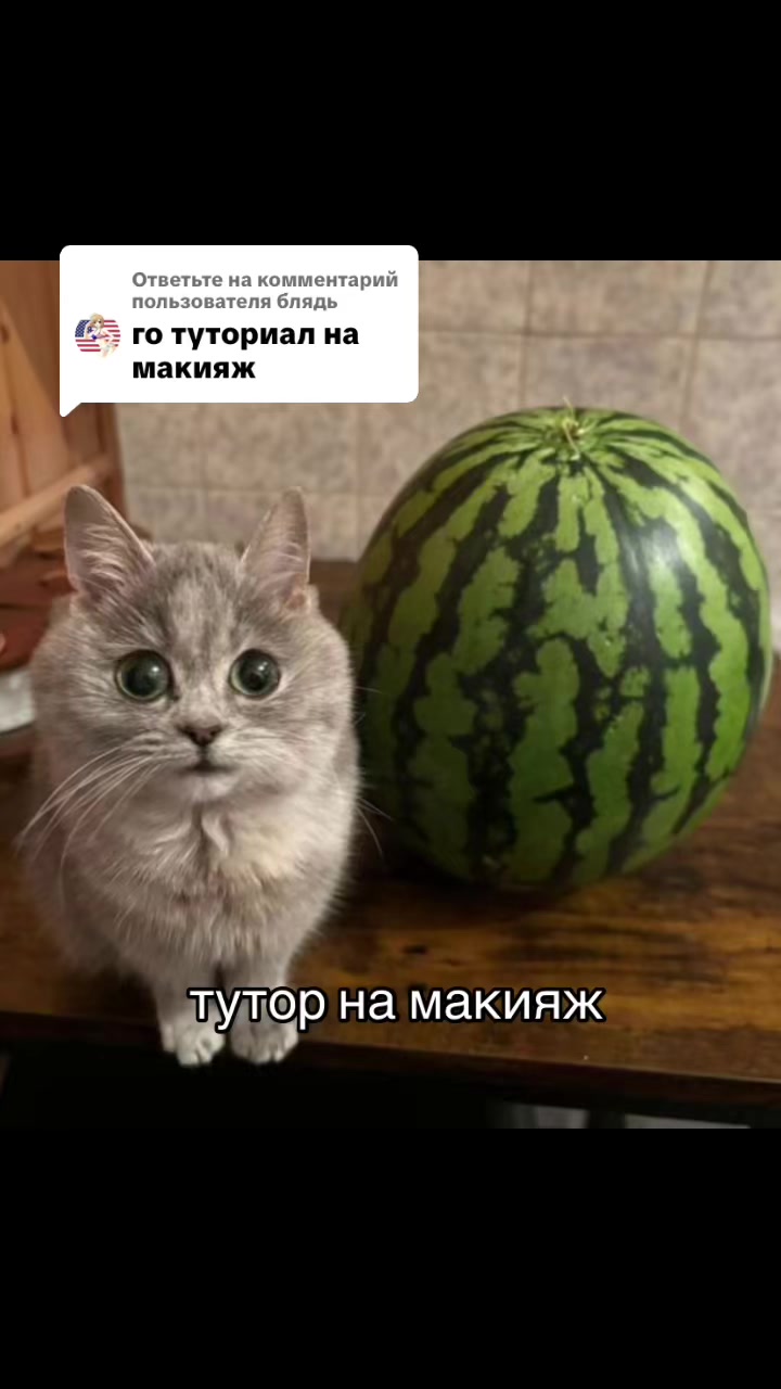 @тгк: merwoi