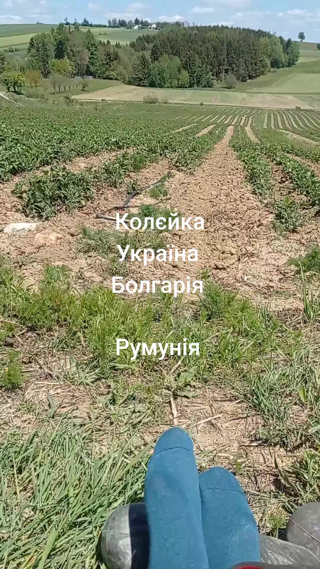 @Аня Мартинюк