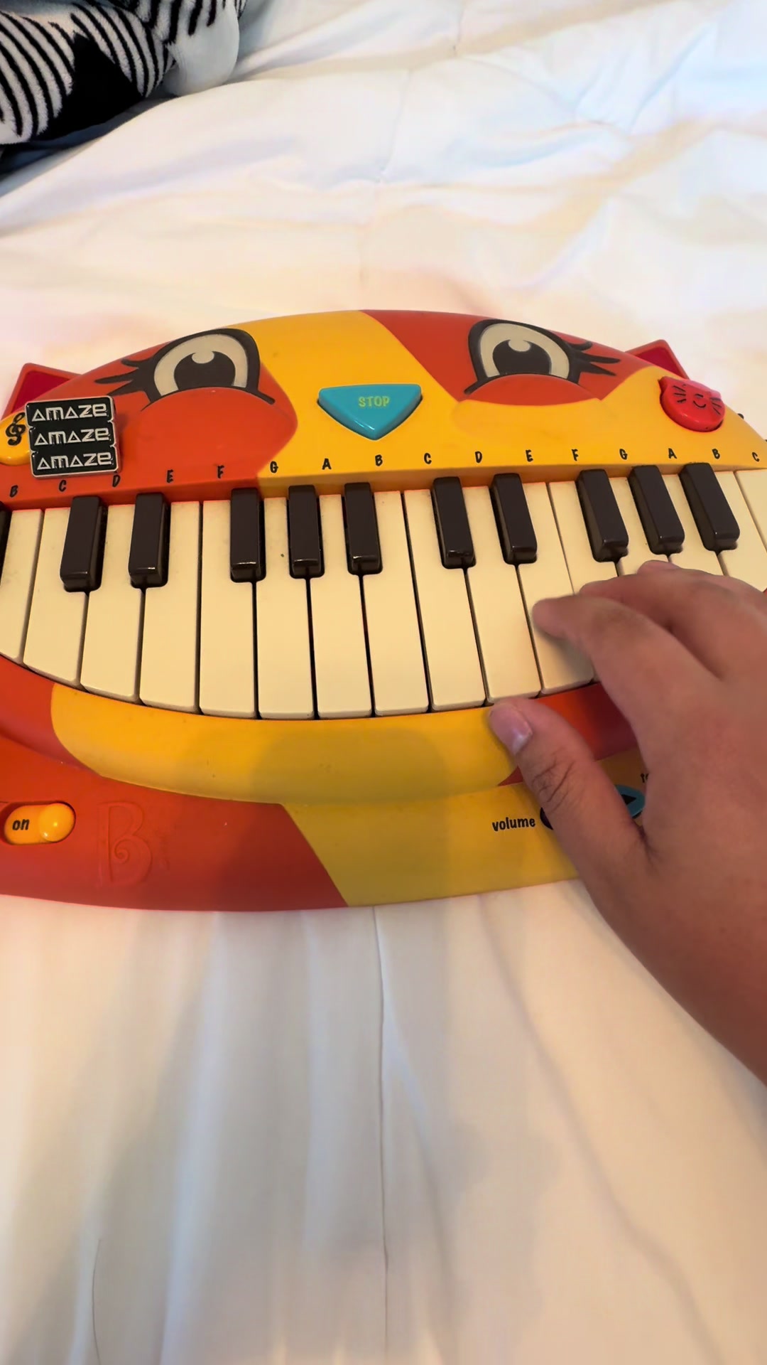 @Dave the Cat Piano