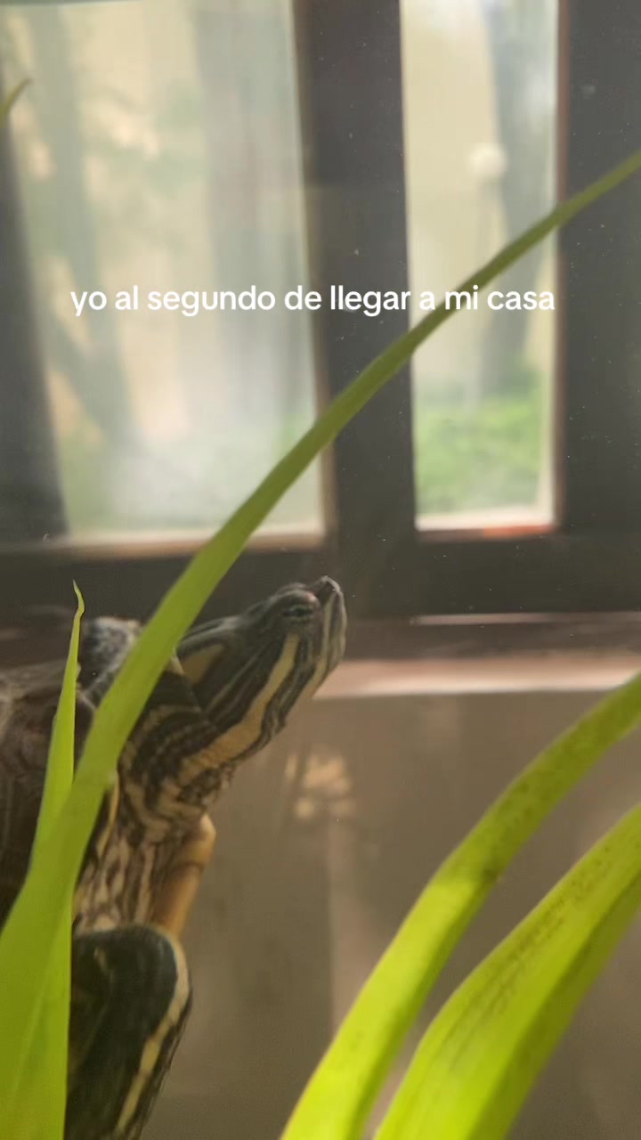 @Gabriel