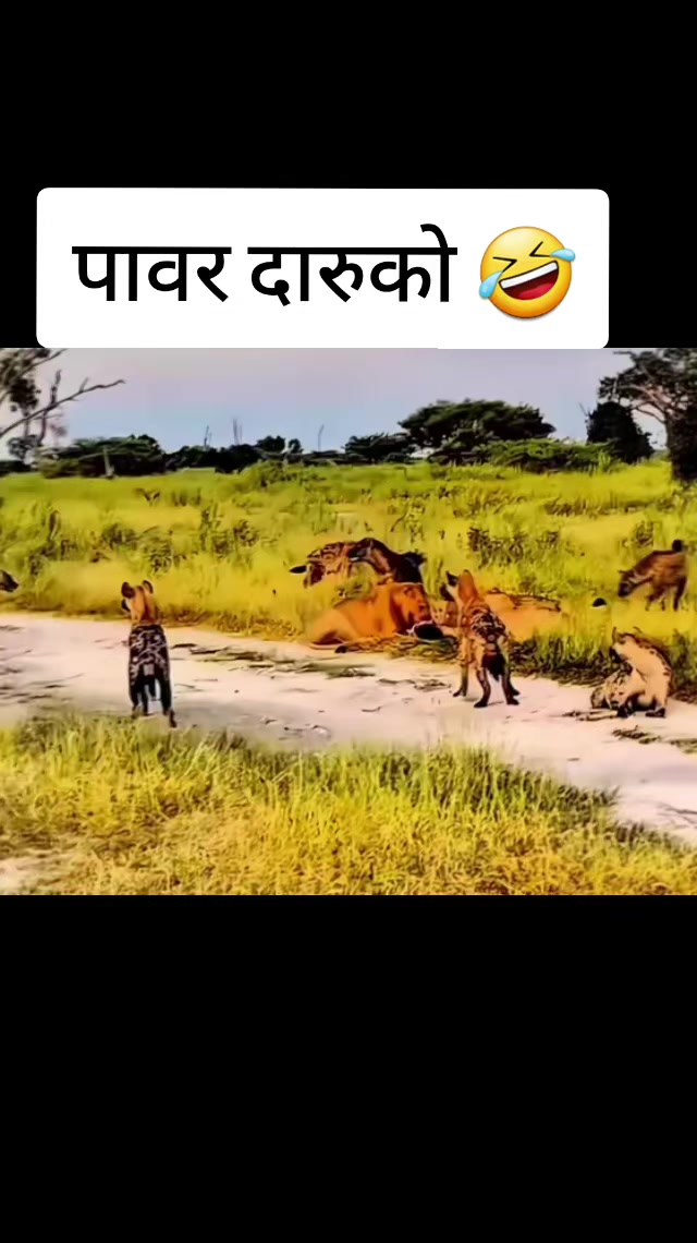 @Jan Diyam Rai
