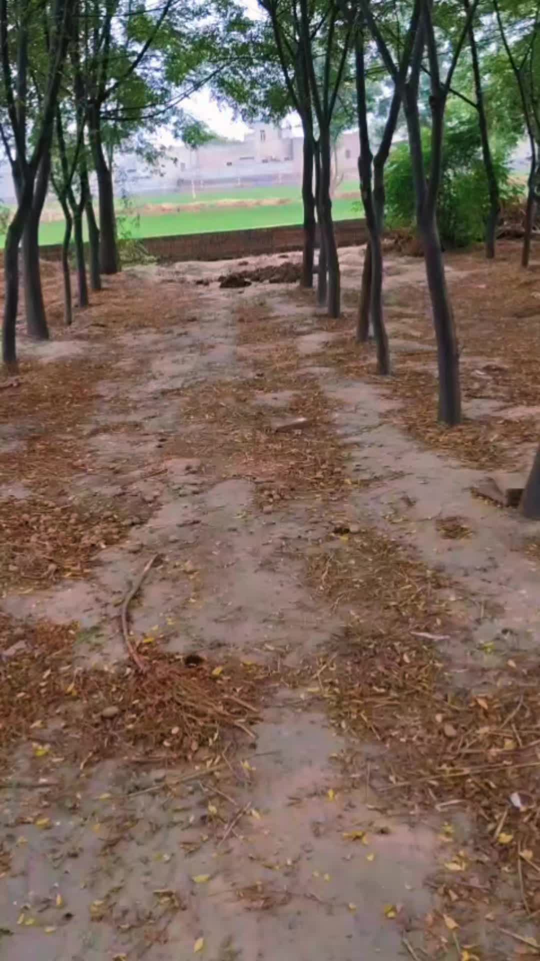 @ਸਰਾਂ