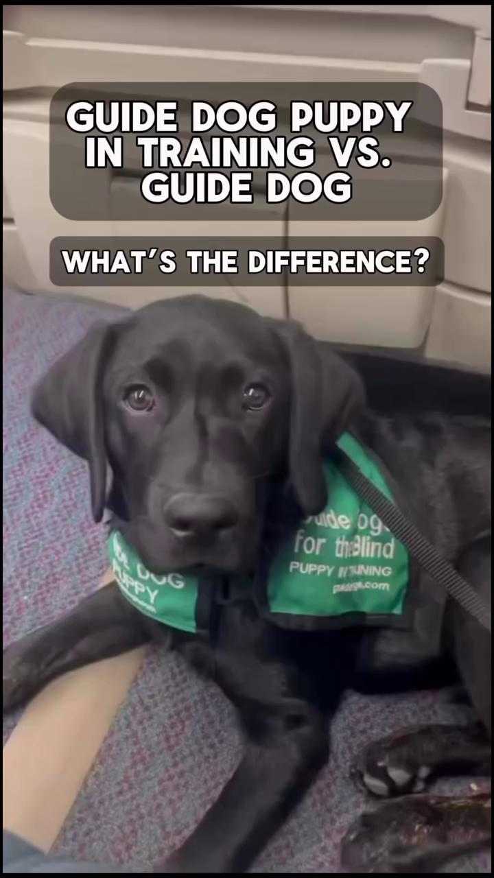 @GDB_Official