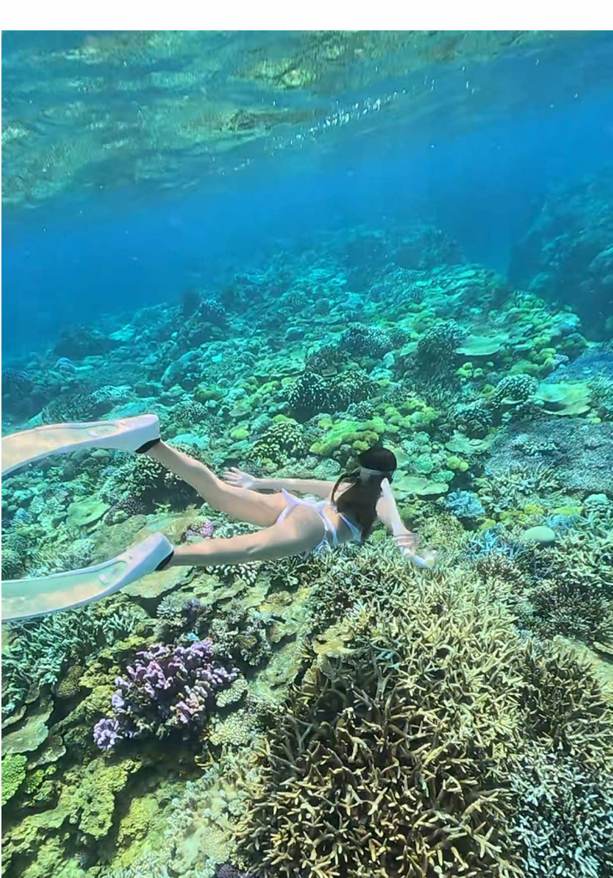 @深海あや🦈🤿