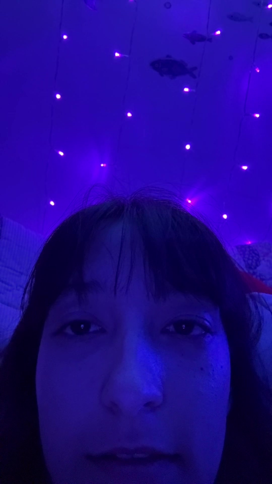 @aliceful_tiktok
