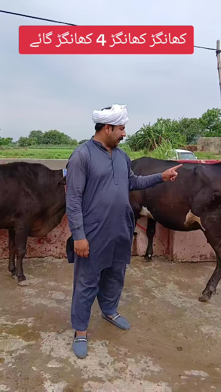 @Farming and Business Ideas