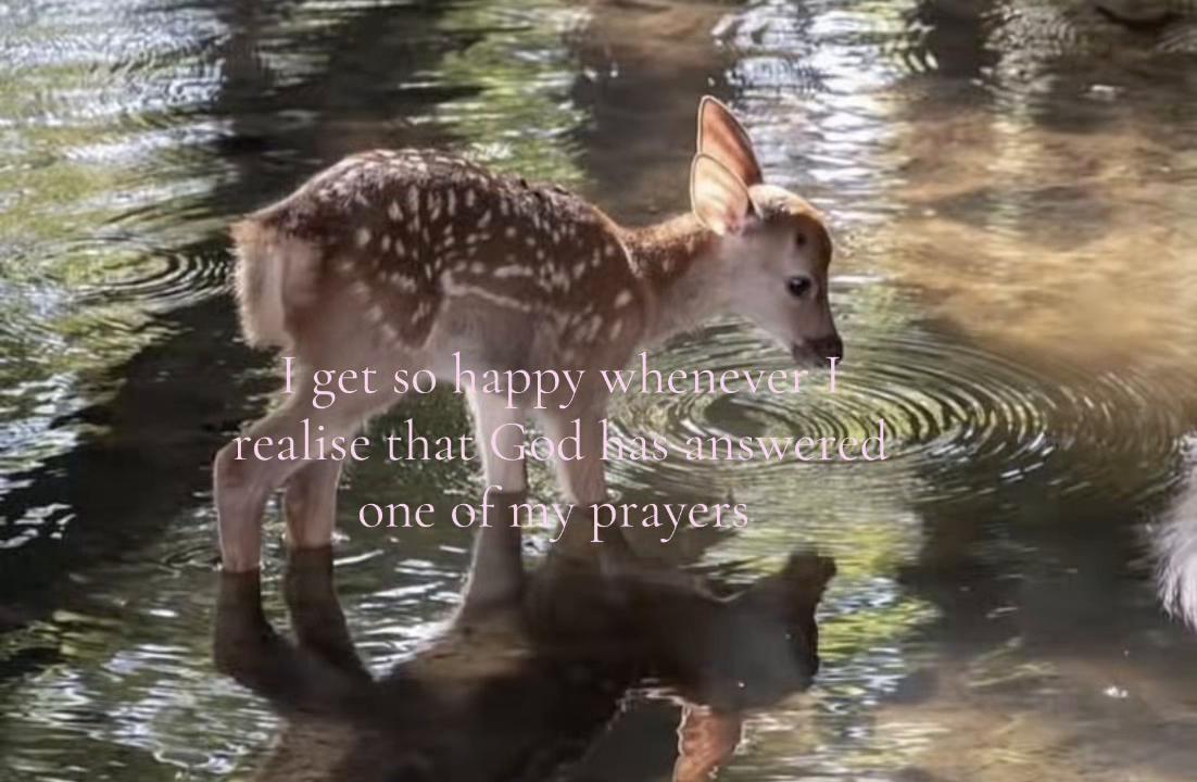 @5‘7 Angel 🧘🏾♀️🪽