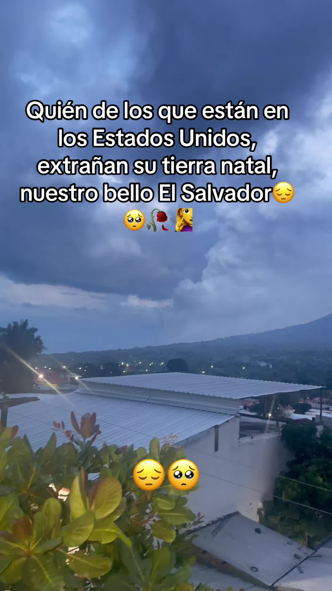 @guadalupetursios8