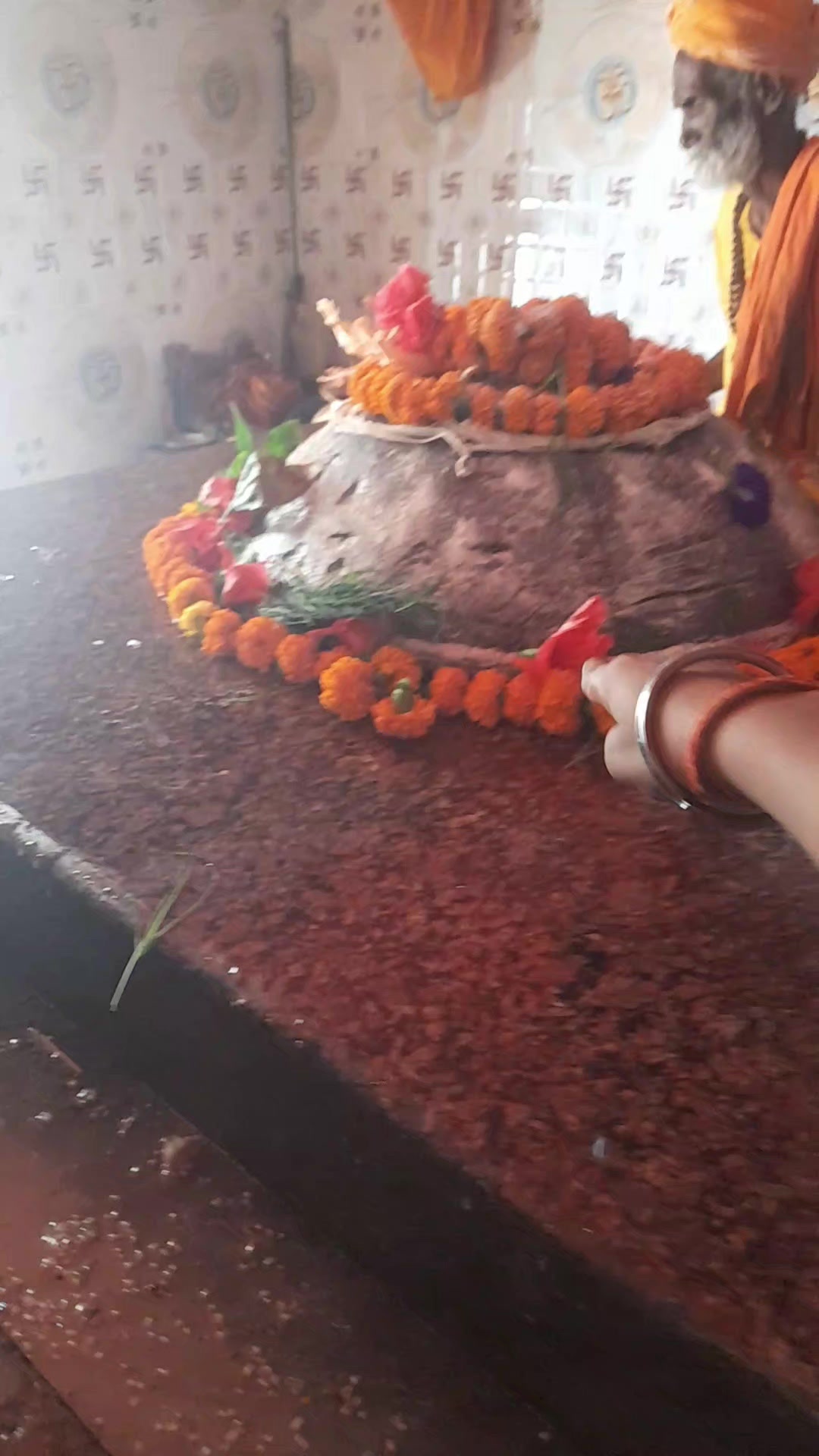 @mamtamishra