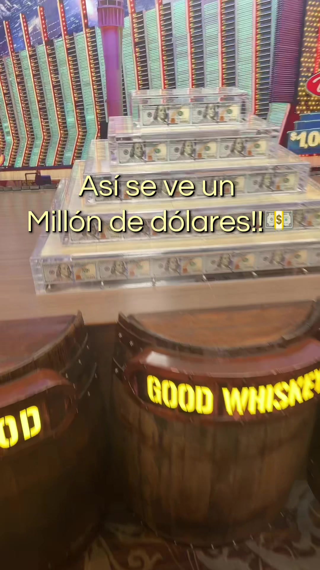 @Angélica Soria