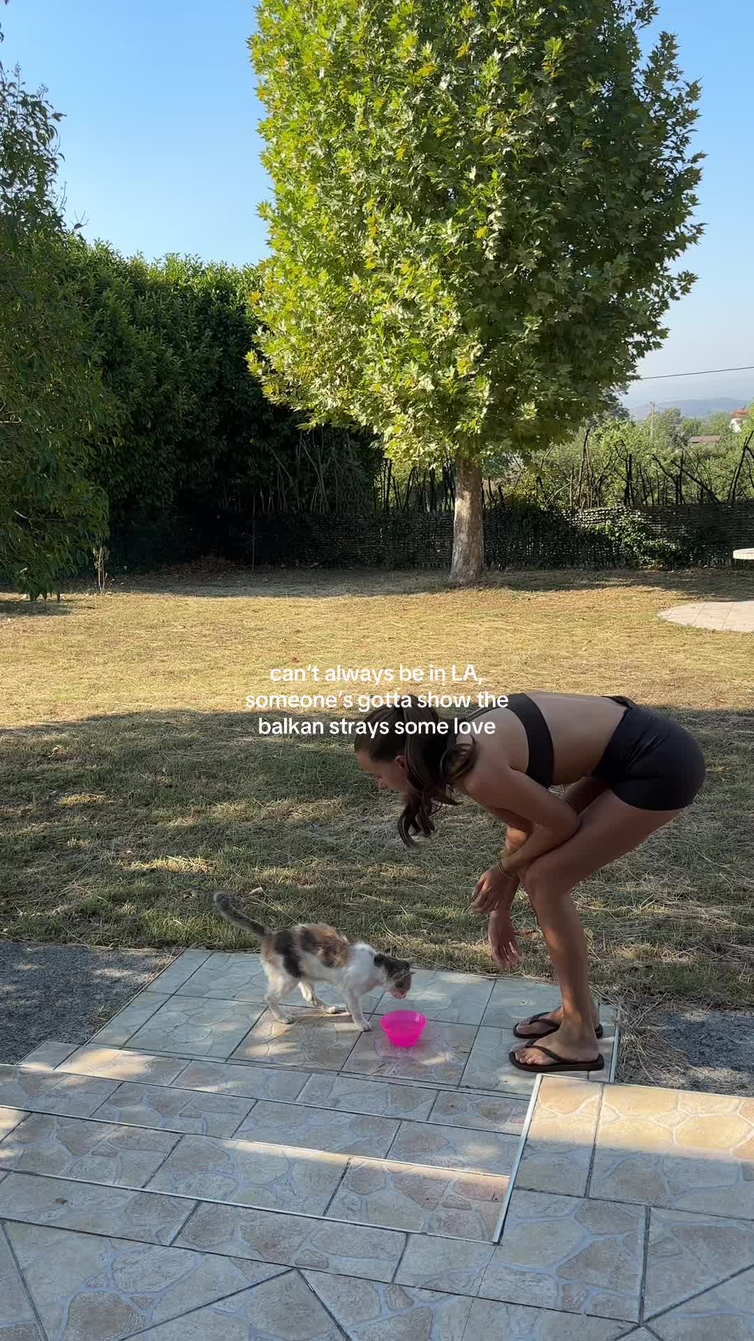 @ZOE
