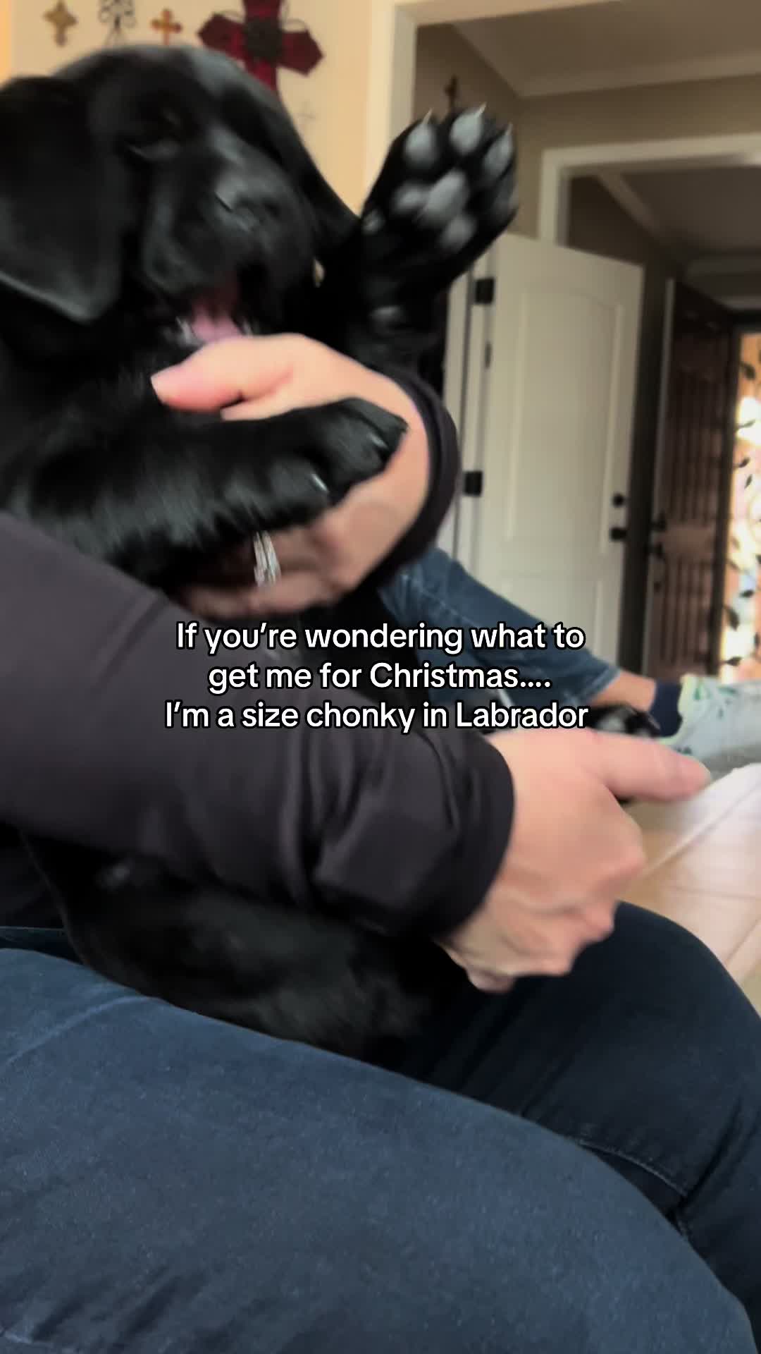 @The Chocolate Chonks 🤎