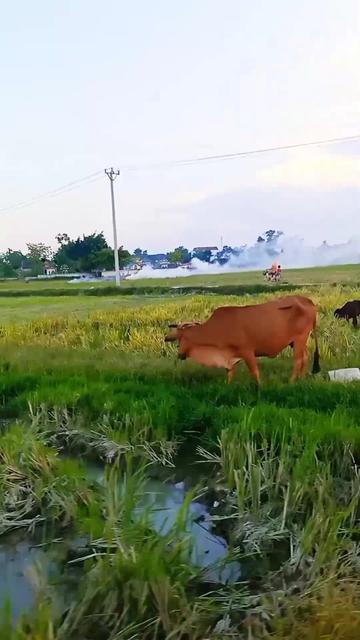 @thương c&ocirc;ng sức khỏe