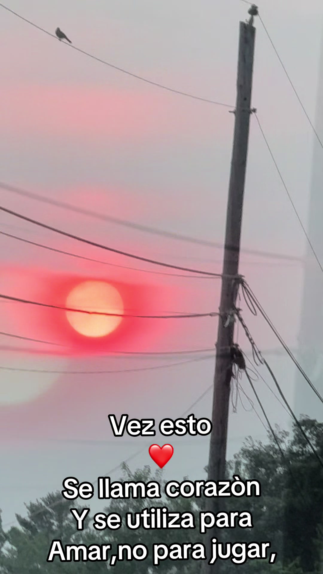 @Michoacanaallyzone