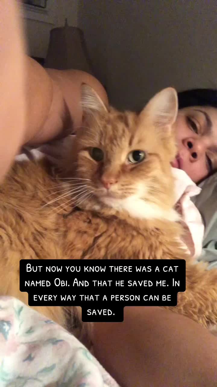 @Childless Cat Lady