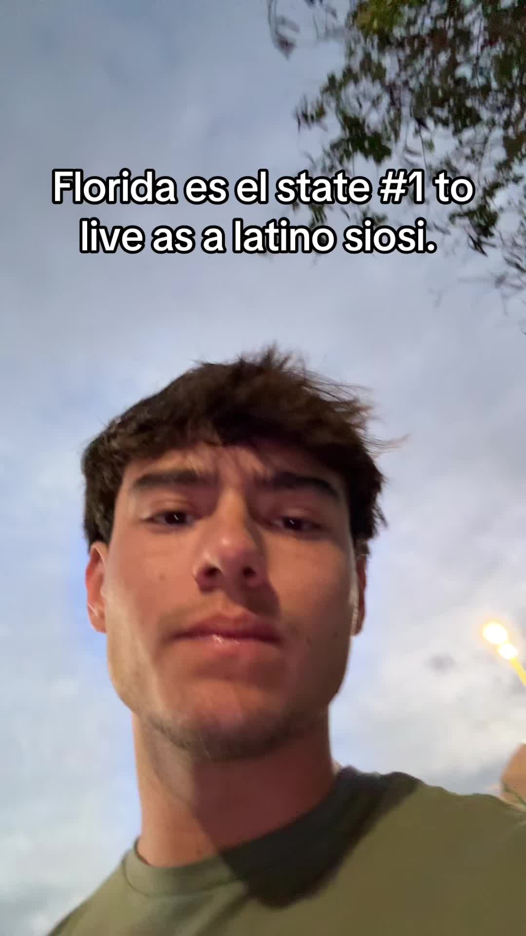 @mendiolaenusa