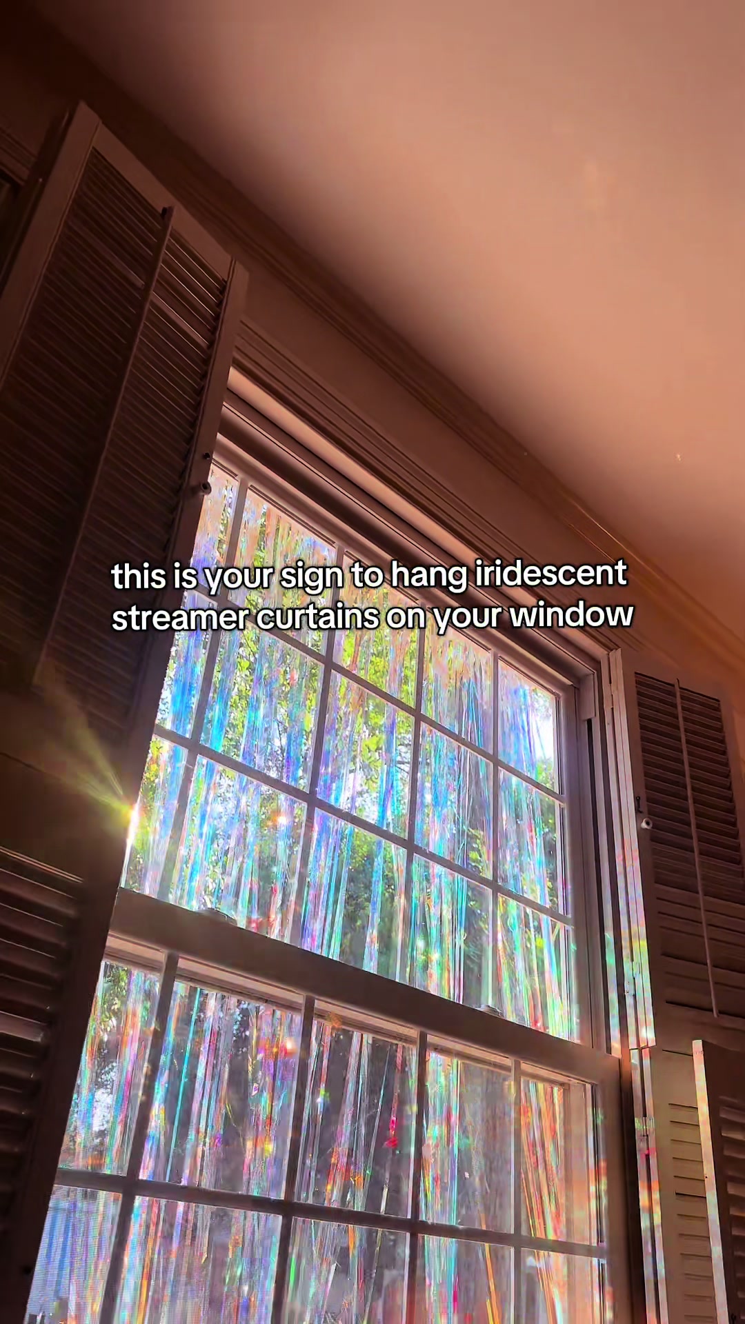@Chelsea Grey Collins