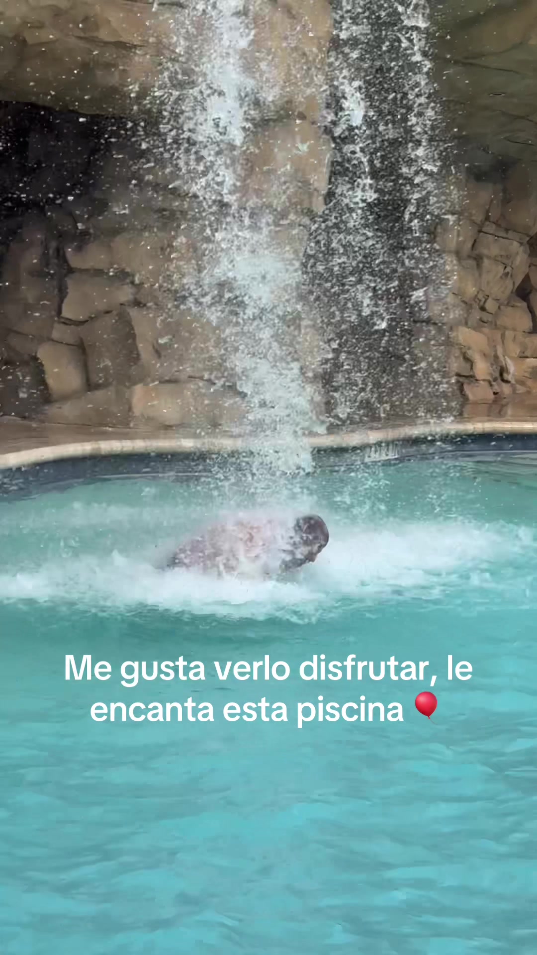 @Olgui59