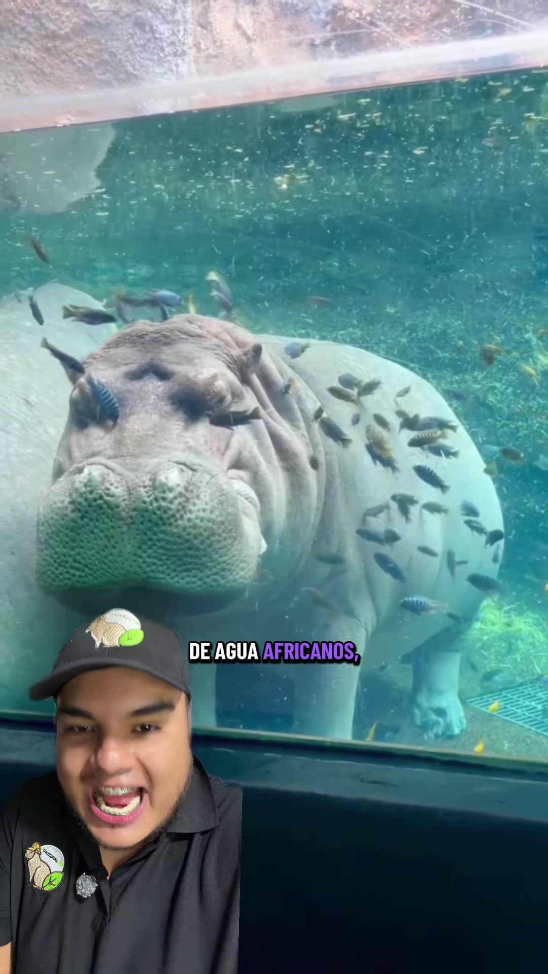 @Jair Herrera 🐆