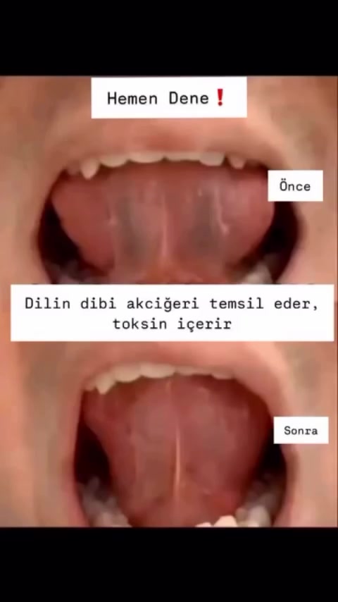 @zeynepwellness
