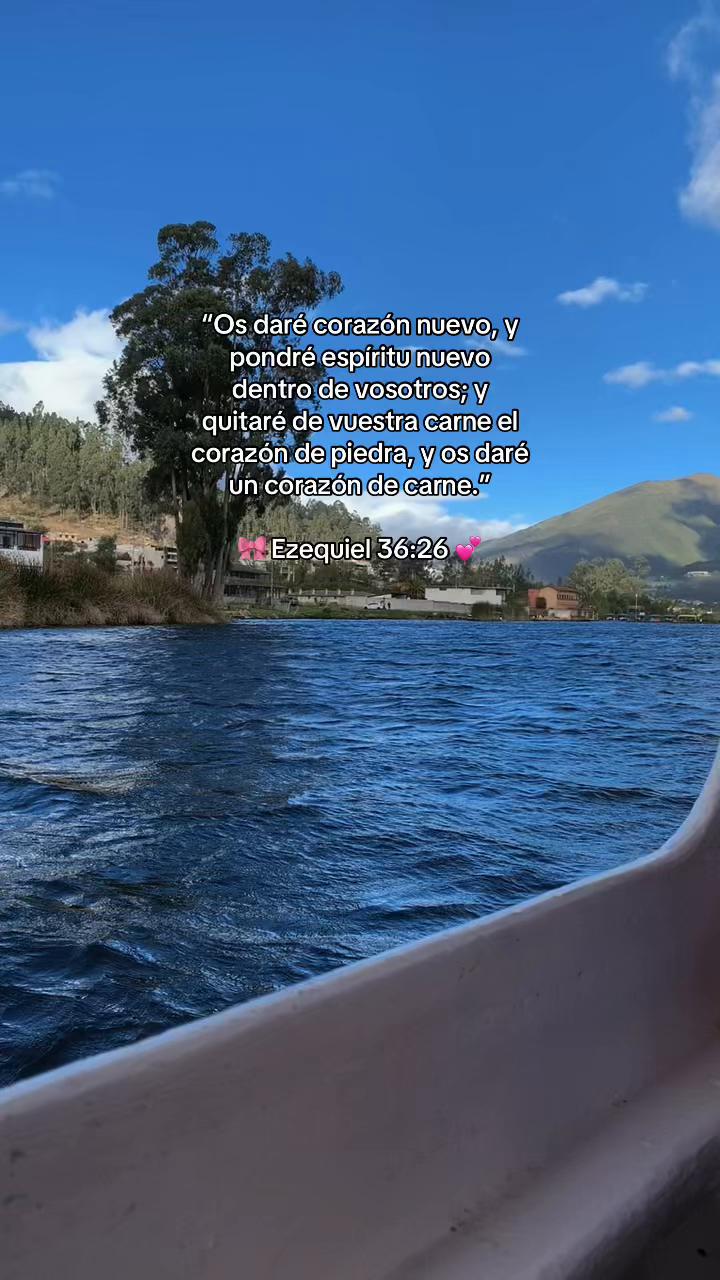 @𝓔𝓿𝓮𝓵𝔂𝓷🌷