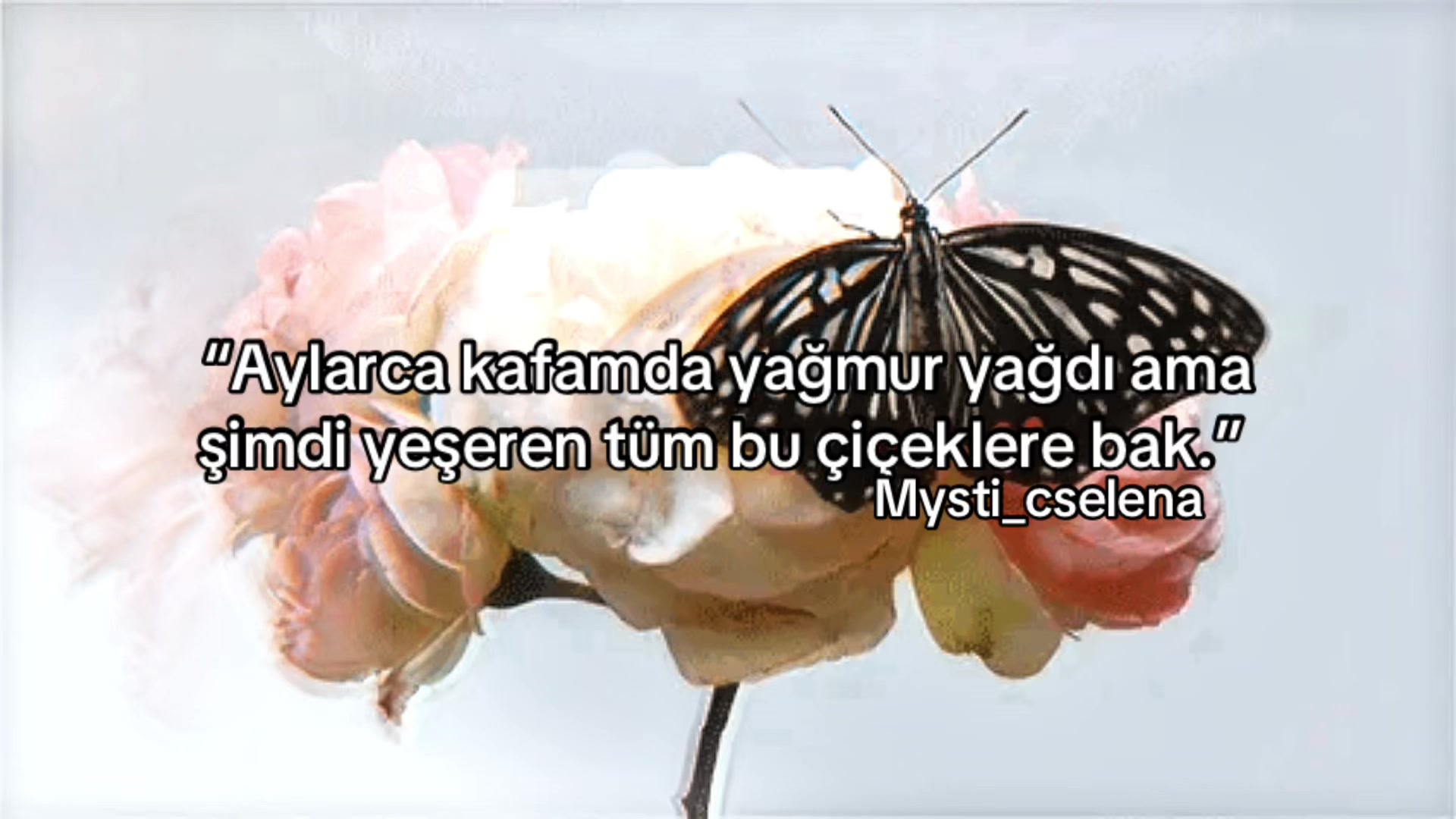 @Mysti_cselena