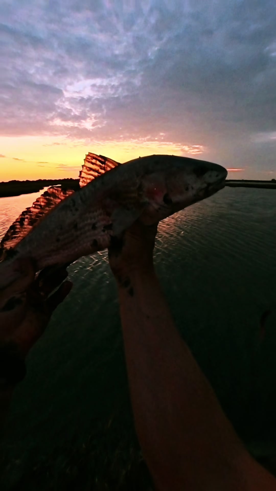 @hookedonthemarsh_tx