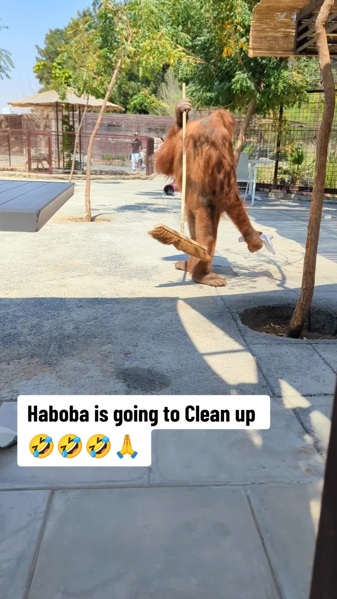 @HUMBLE LION 🦁