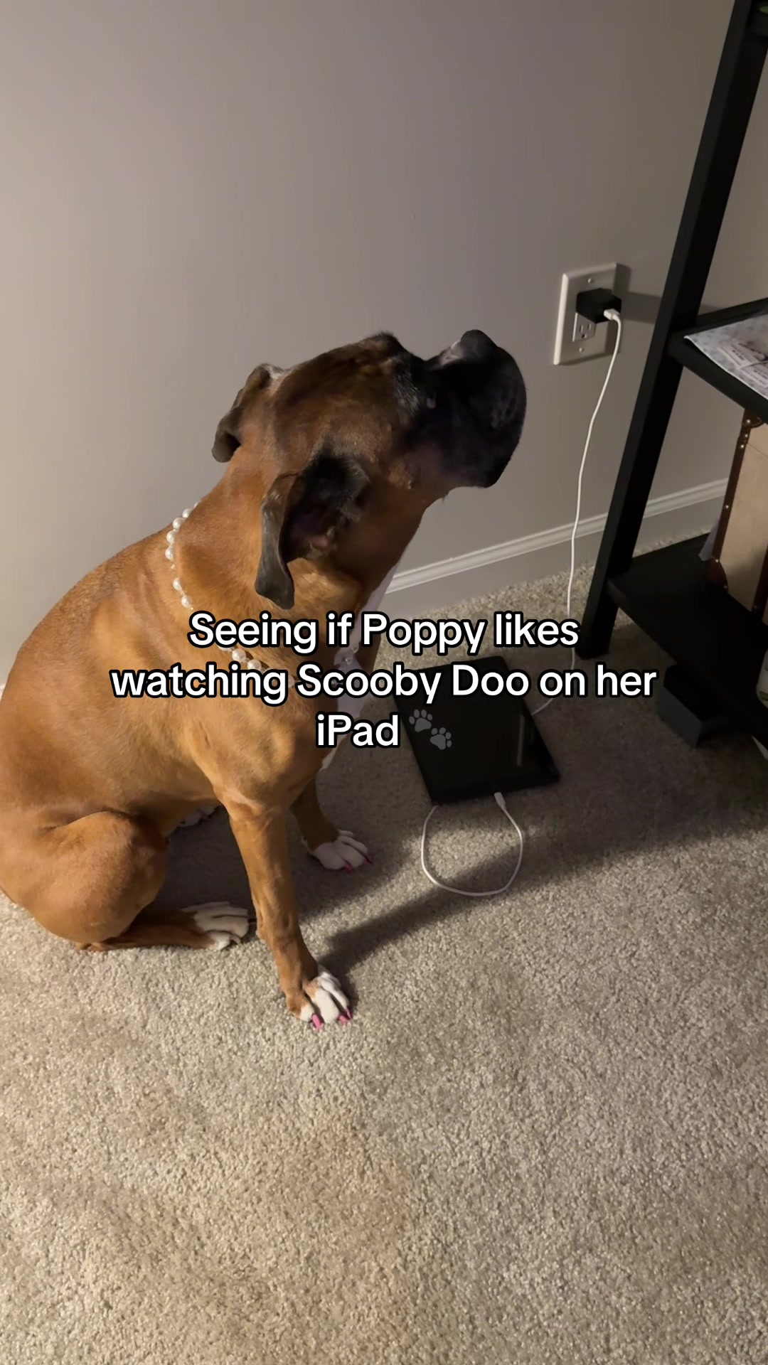 @Princess Poppy