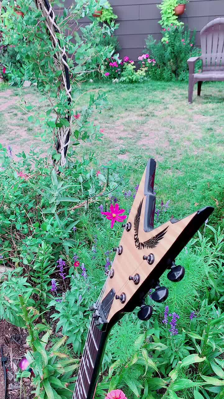 @Garden alive