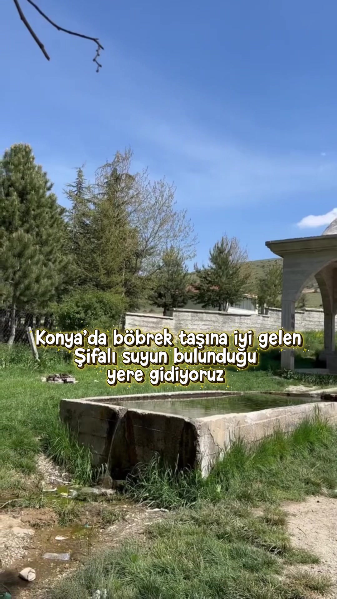@Almina Ay&ccedil;i&ccedil;ek
