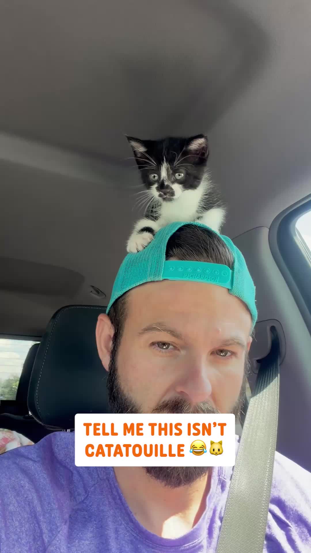 @Pawsome Pets
