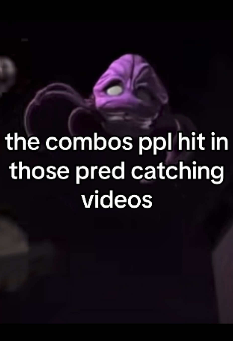 @ivy