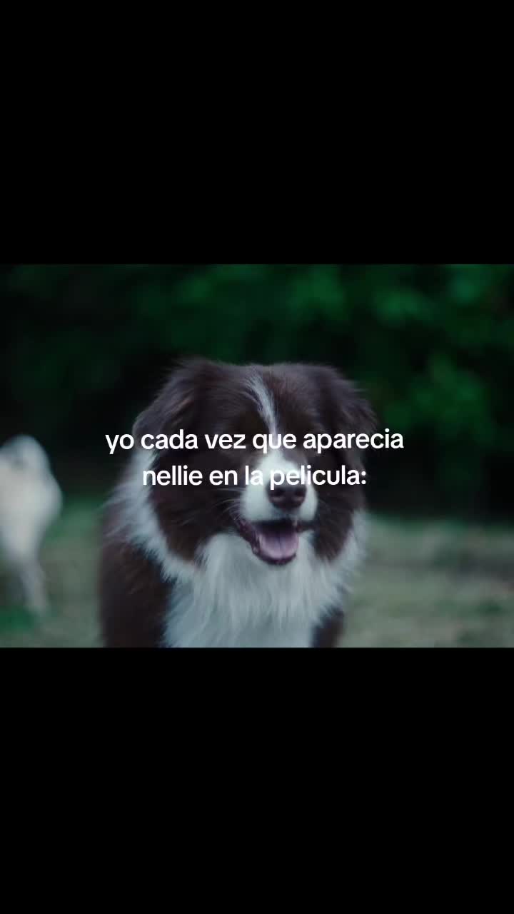 @Lichu ⚡