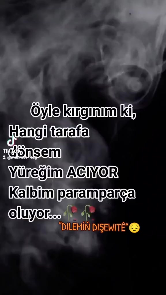 @DILEMİŇ DIŞEWITÊ"😔
