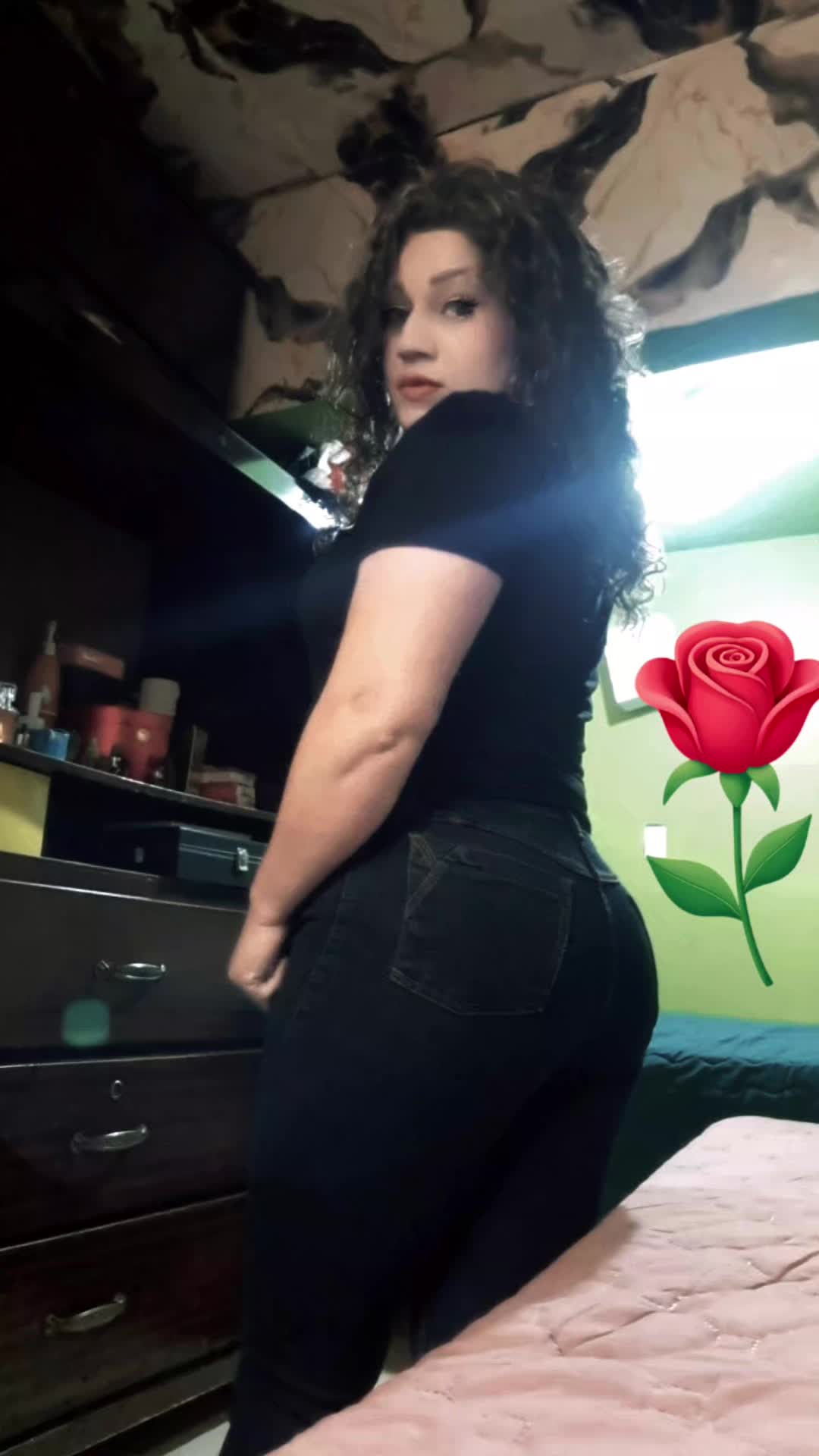 @gatasalvaje435