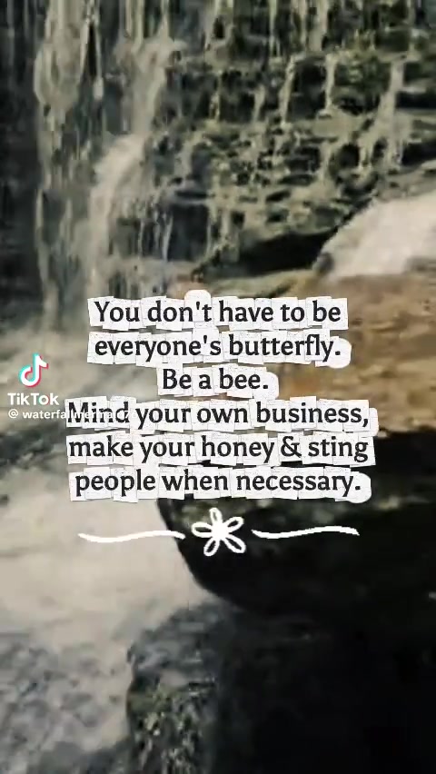 @Beautiful butterfly
