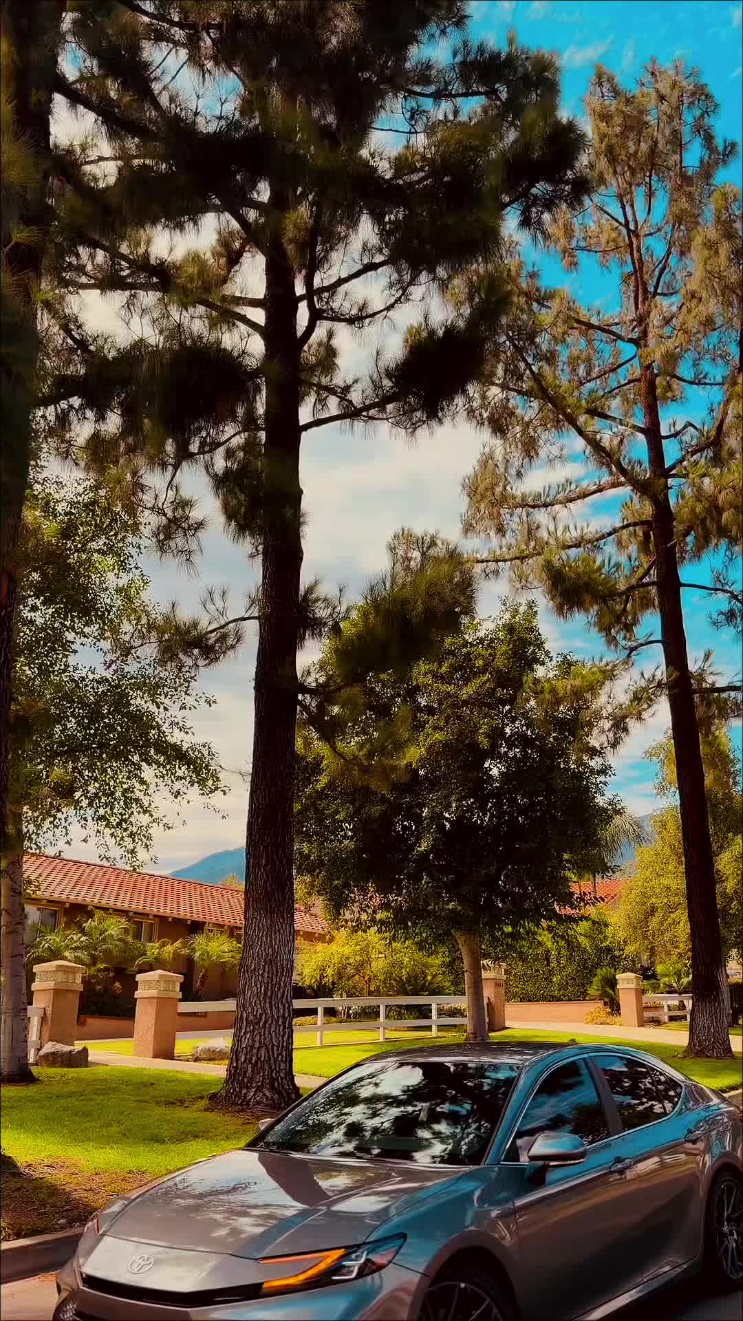 @m4nni08