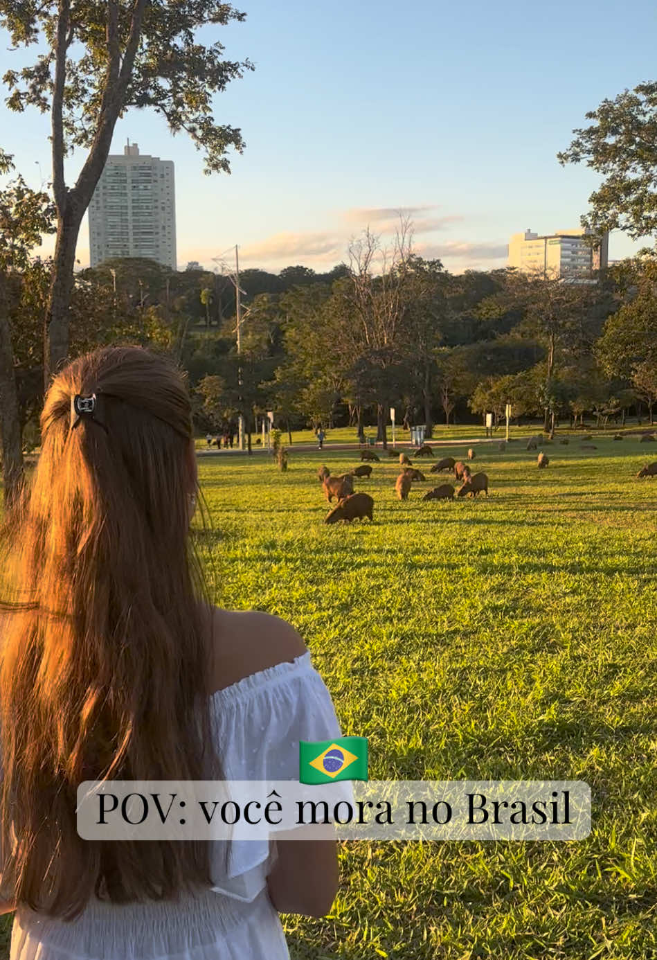 @lada.brasil