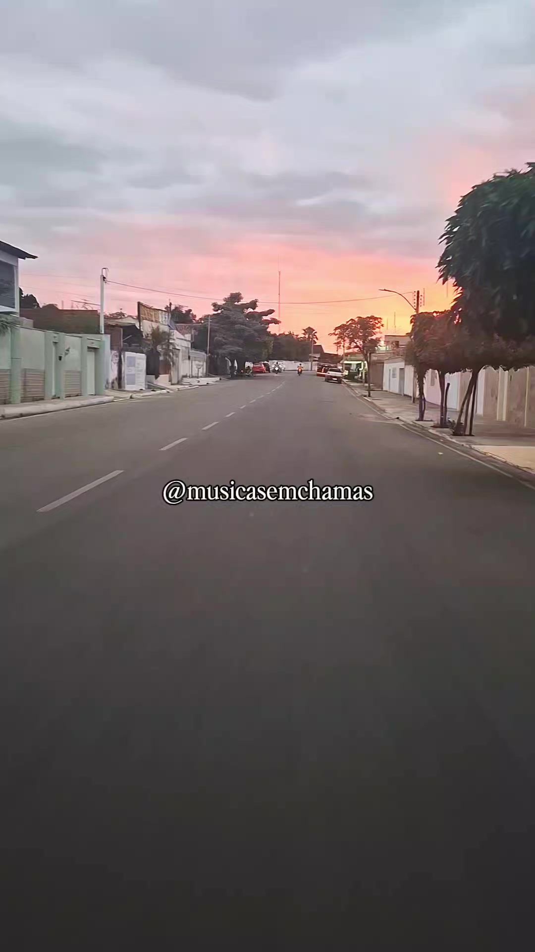 @MUSIC 🎧🌟🚨