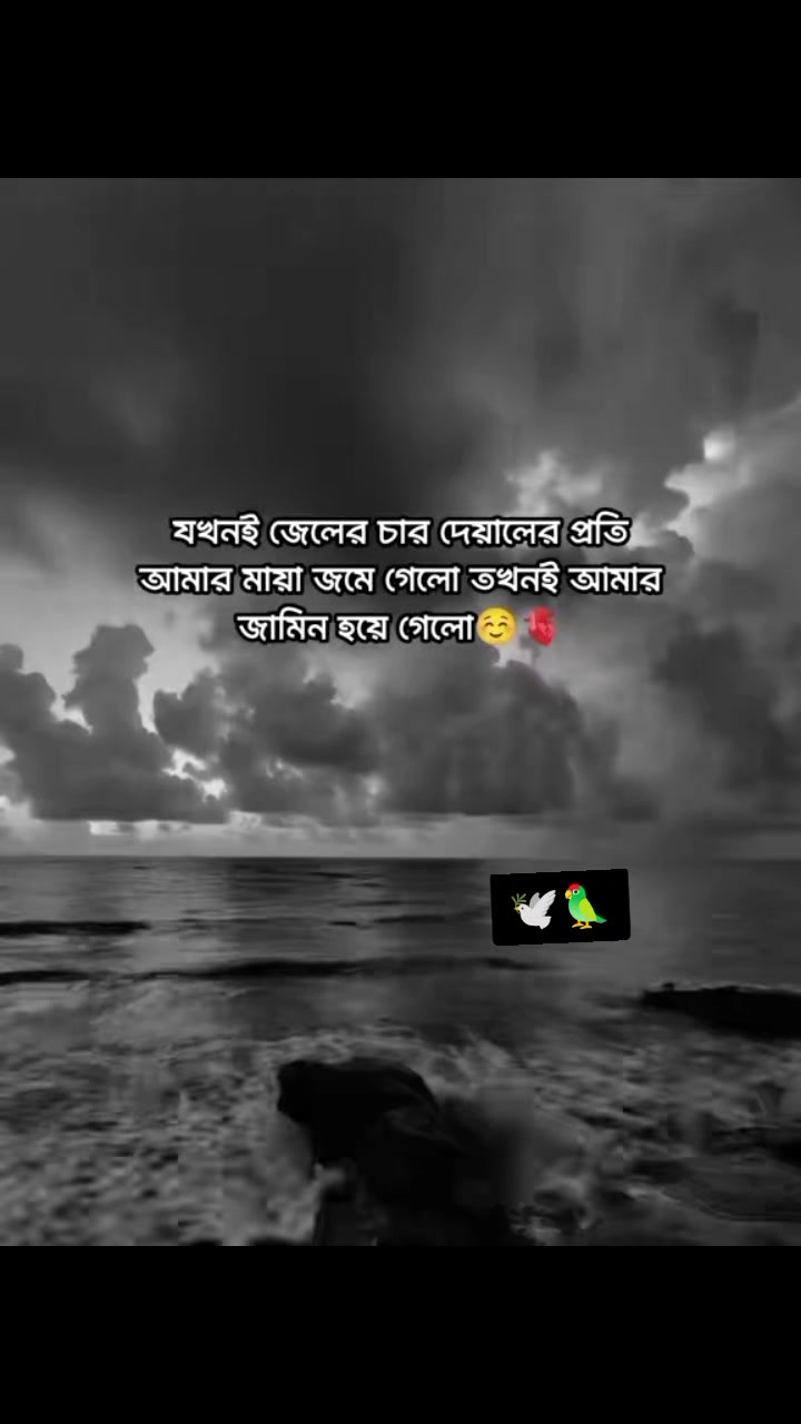 @শূন্য জীবন
