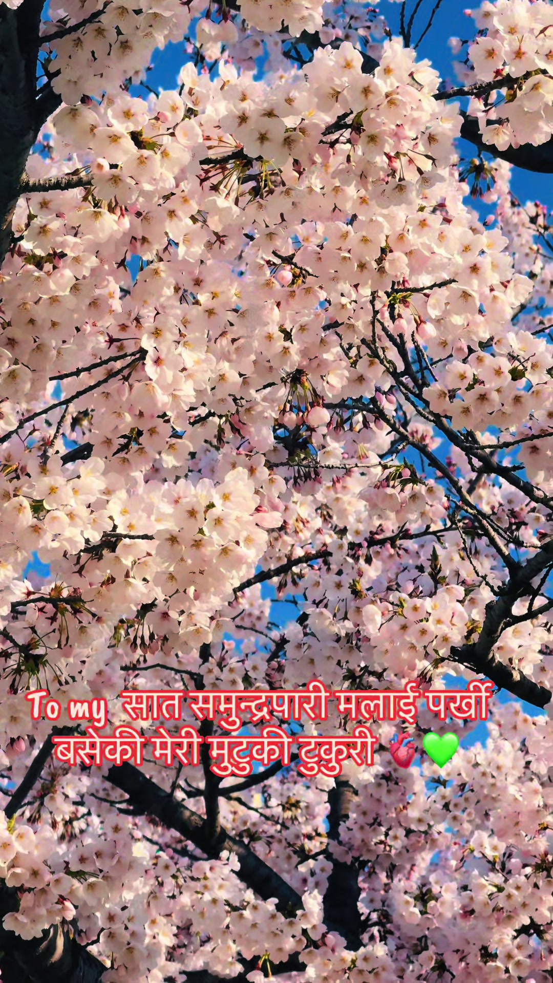 @Lucky🫀Binu💚
