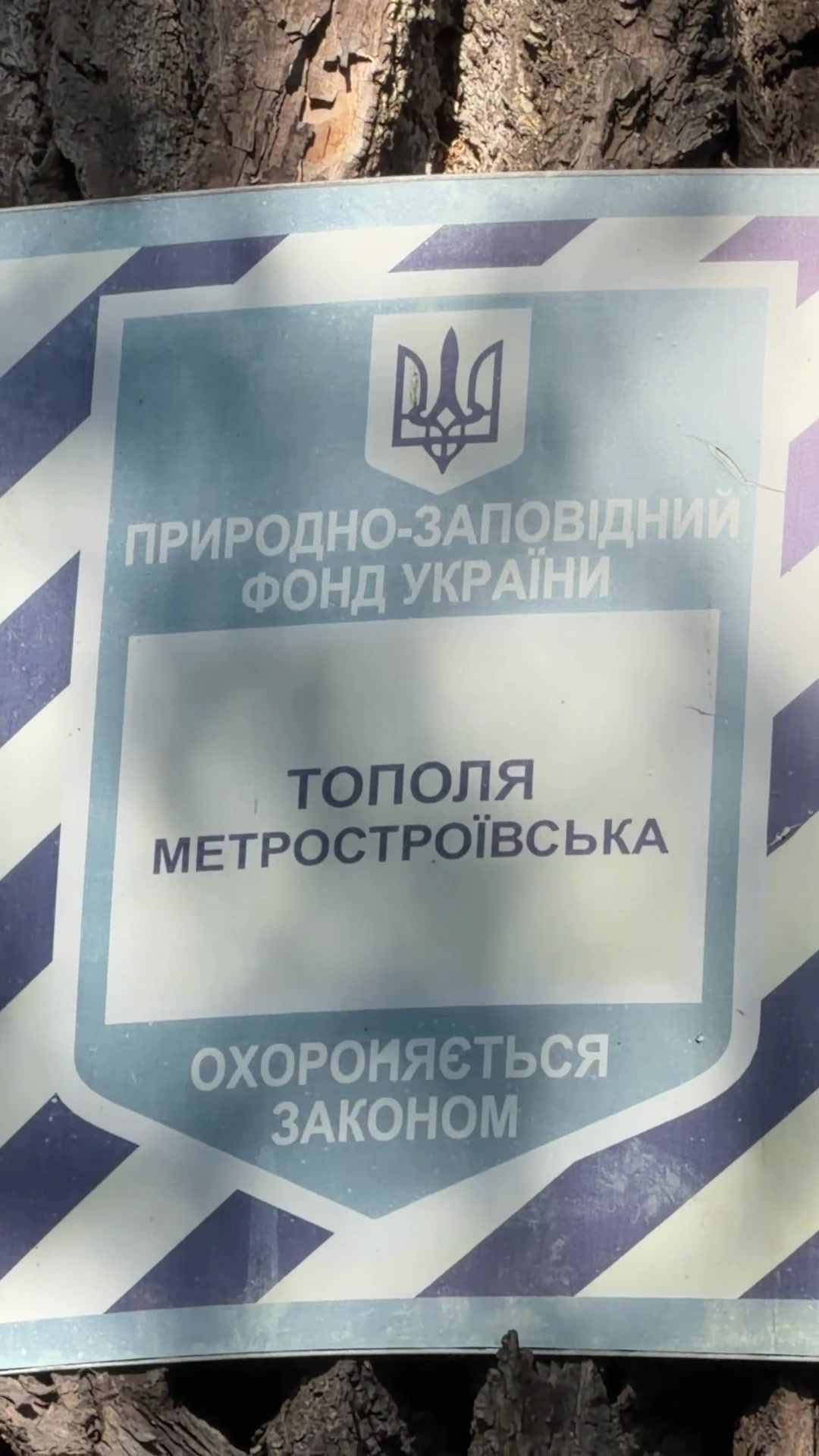 @Diary of a Kyivan