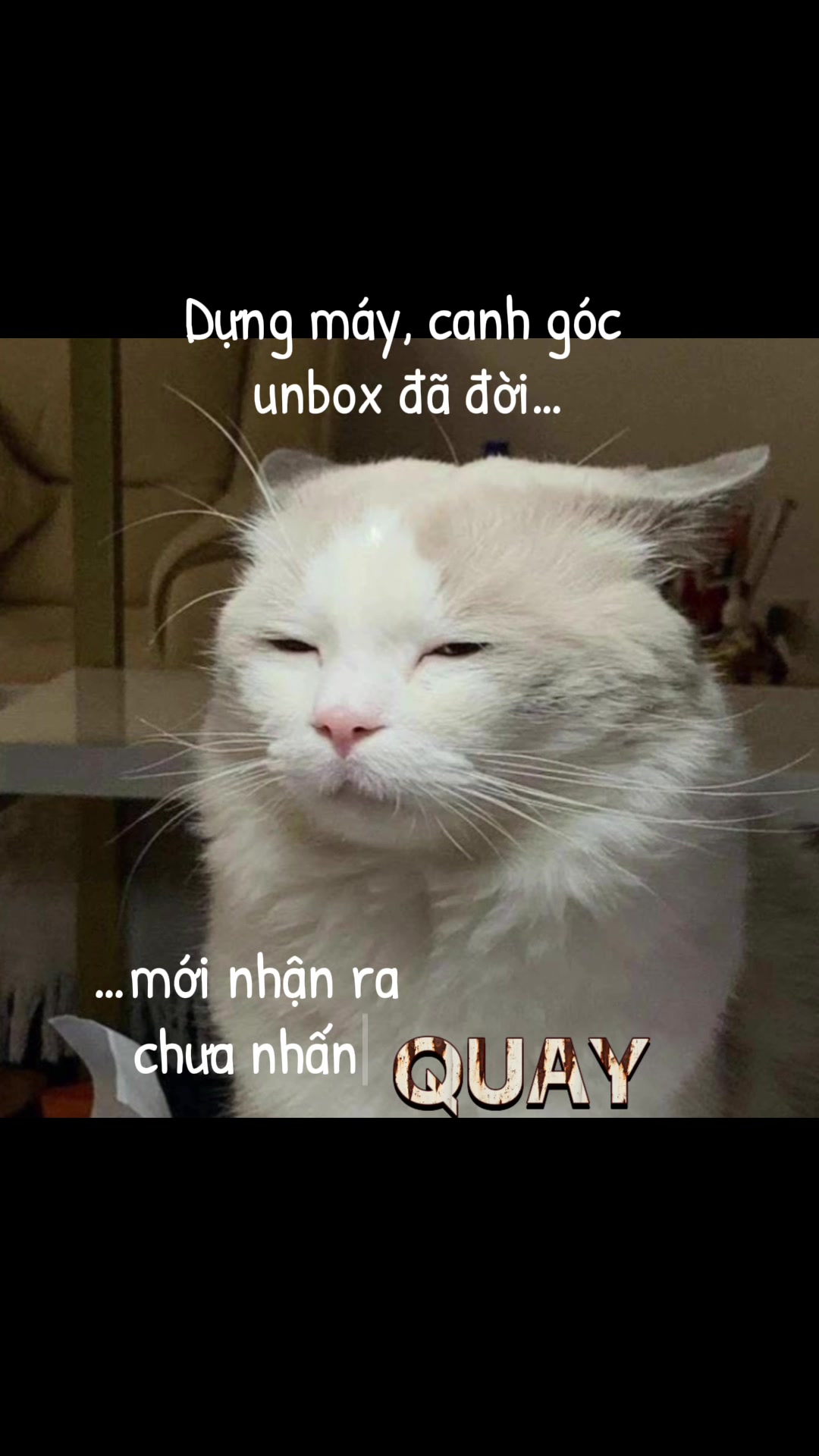 @La v&agrave; vựa tr&aacute;i c&acirc;y của cổ
