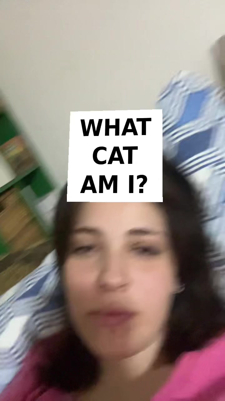 @Zülozüloyaylalar
