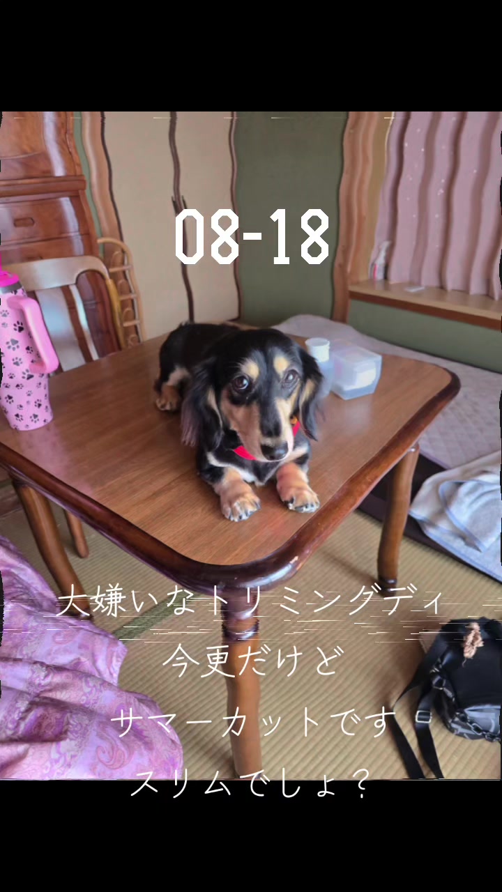 @hiro110