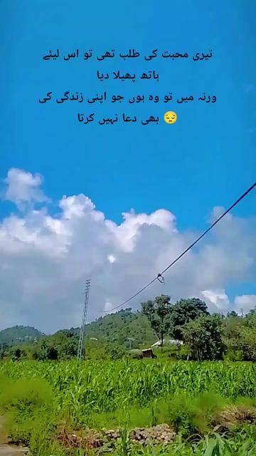 @muzammil tanoli