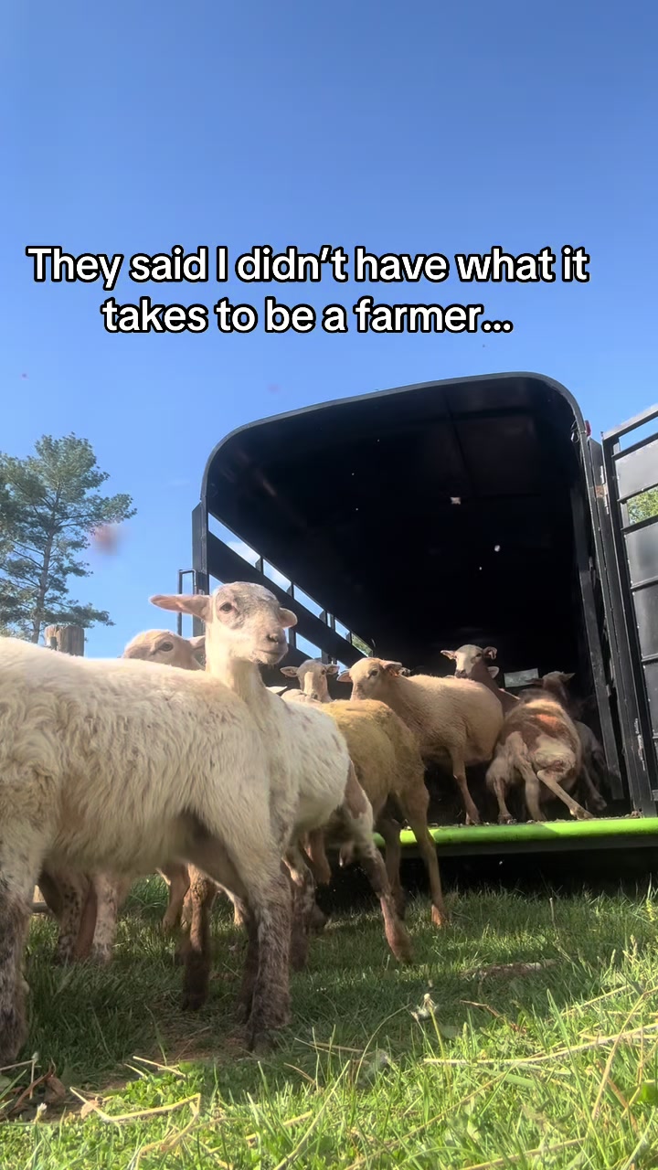 @farmerboi