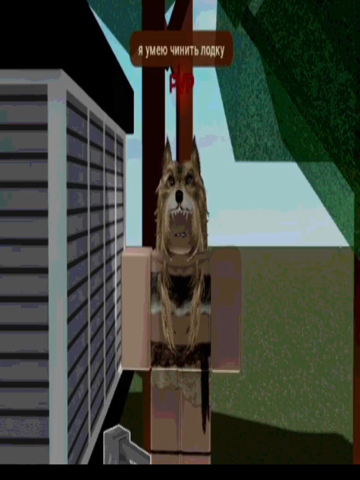 @kriss || whaaat?