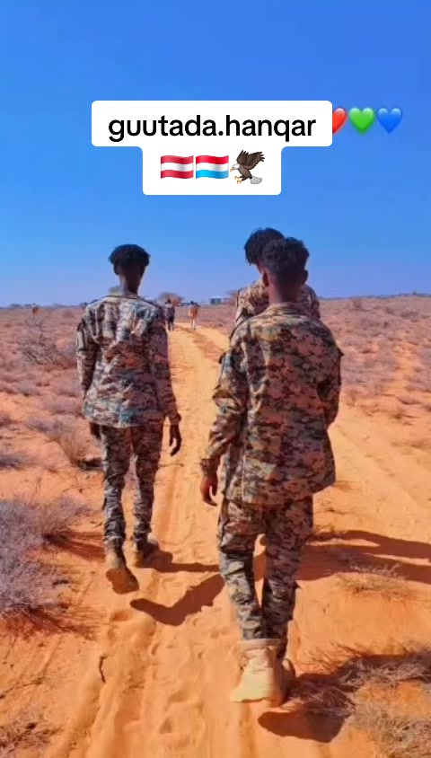 @xareeda🇸🇴